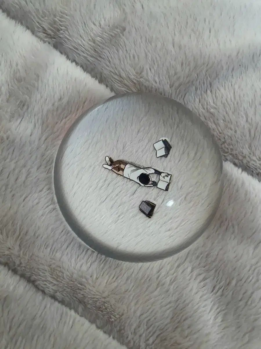 全知的な読者の視点から 原画展 ムーンジン 小さな雪原