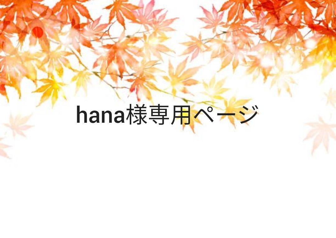 ＨＡＮＡ＊ 専用ページ hana様専用ページ - メルカリ