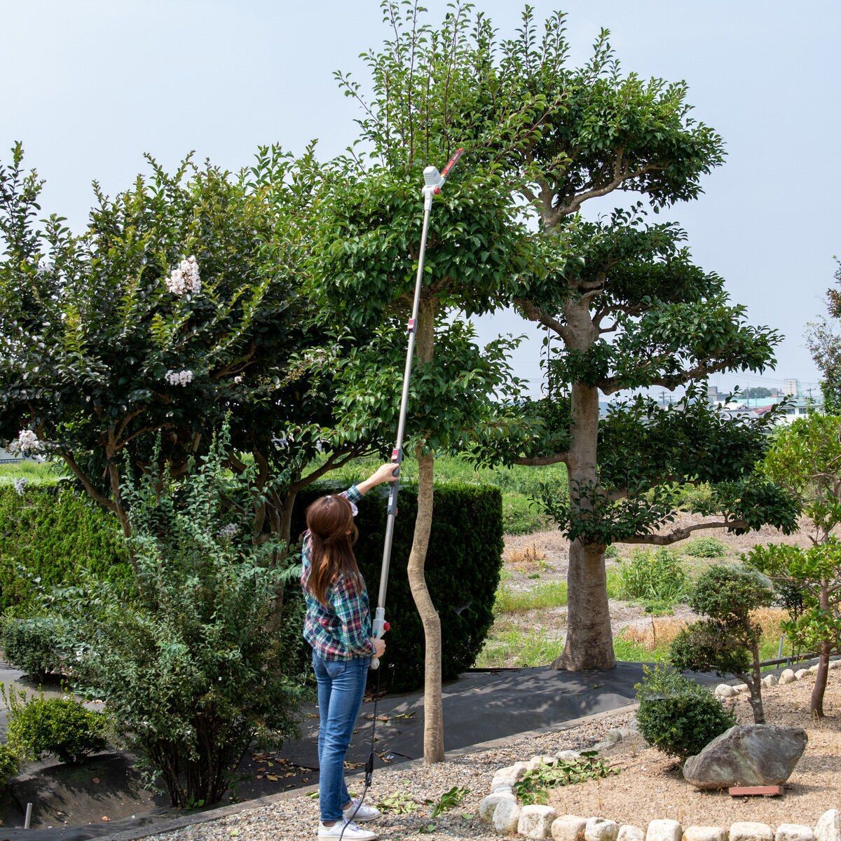 ムサシ MRポールバリカン P 2001 伸縮式 高枝剪定 軽量 安全