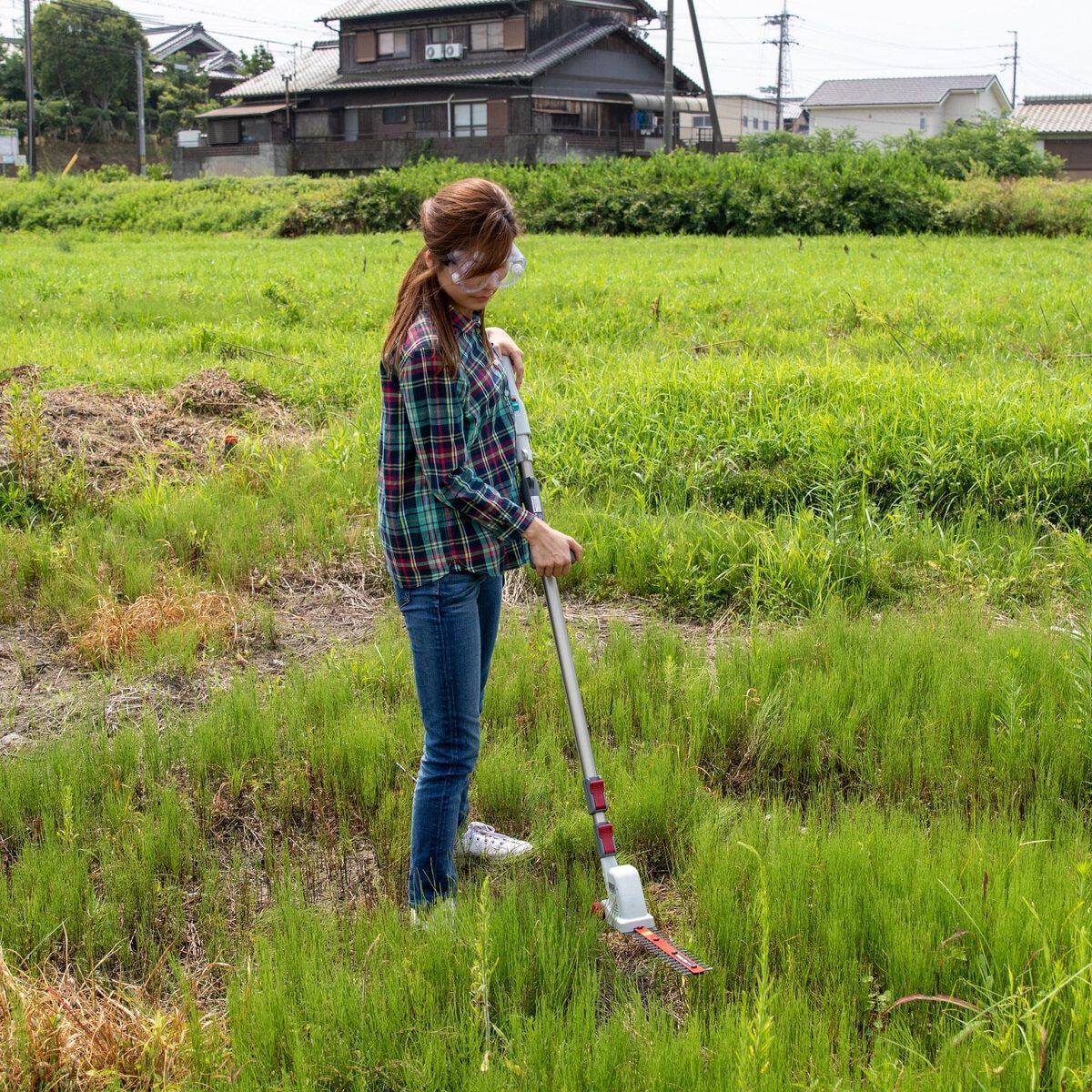 伸縮式 高枝剪定