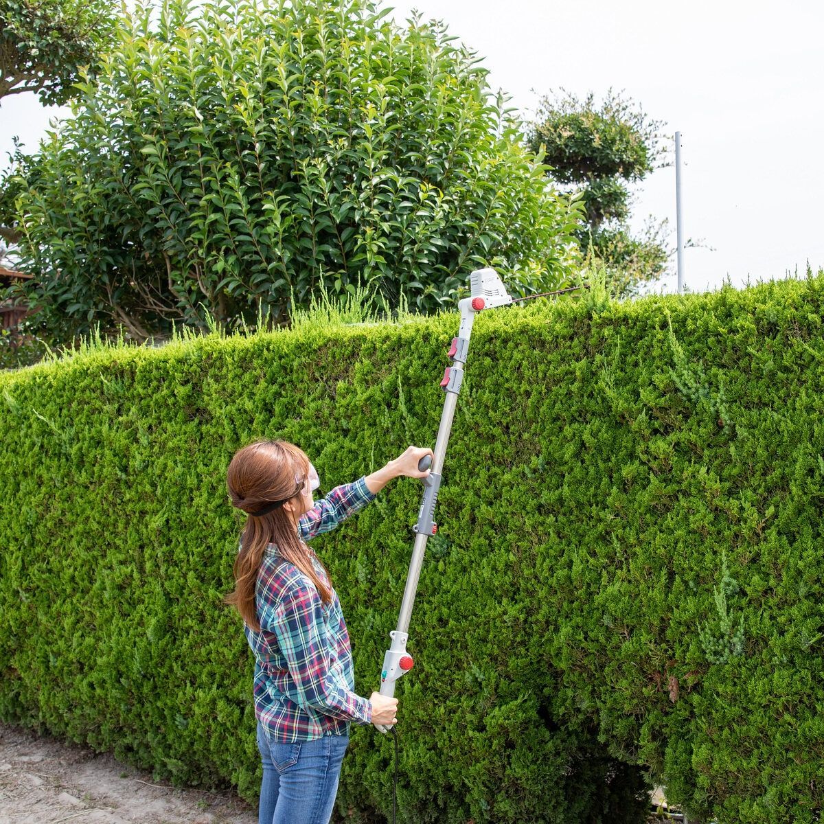  ムサシ MRポールバリカン P 2001 伸縮式 高枝剪定 軽量 安全 その他 その他