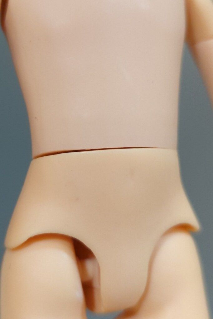 きゅーとふぁみりー