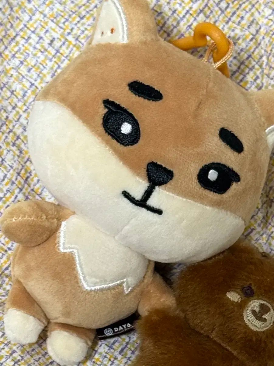 DAY6 (デイシックス) DAY6 ヨンケイ(Young K) デニマルズ(DENIMALZ) 24