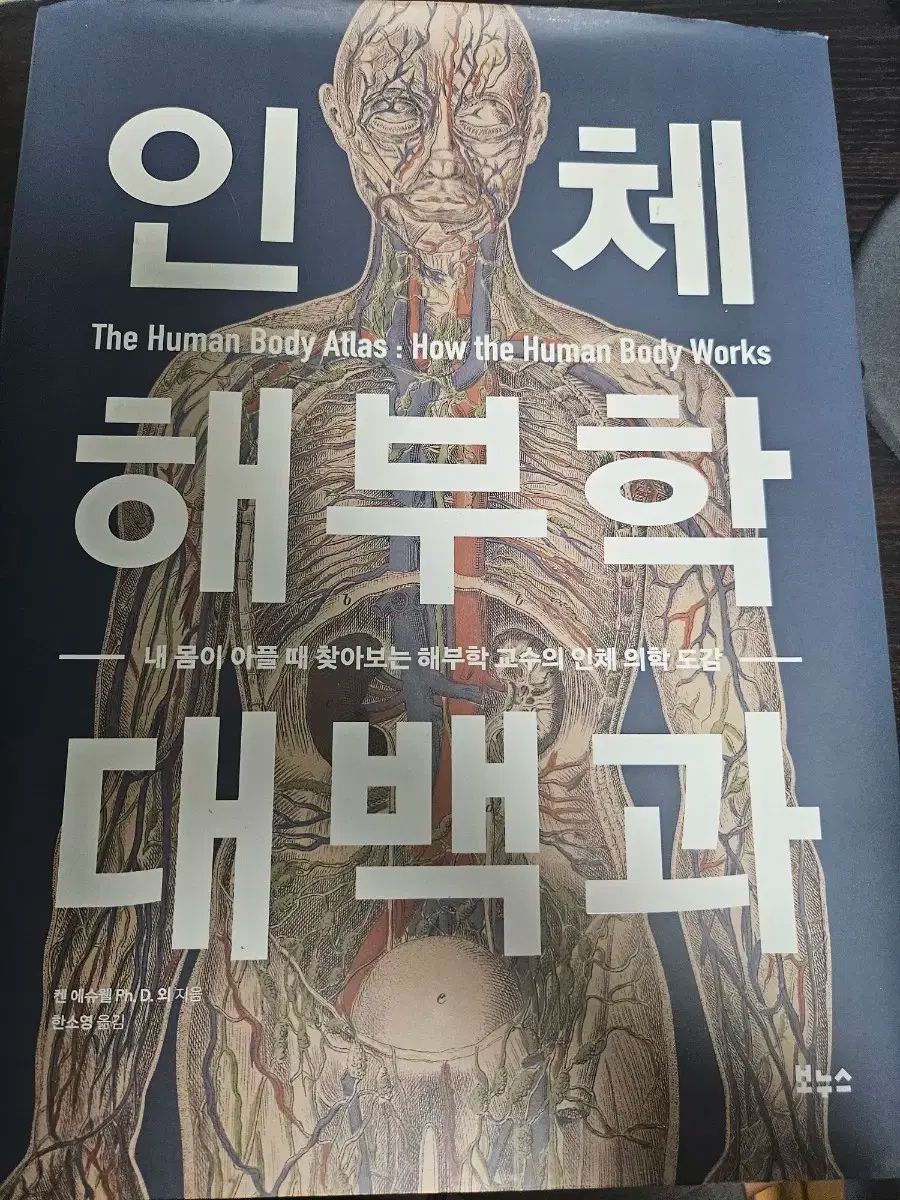 【赤字超特価，高品質】 人体の解剖学大百科 出品 人文