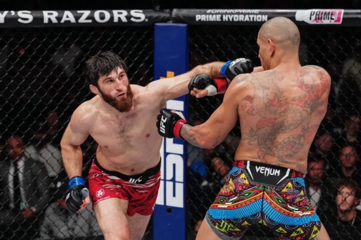 ペレイラ FIGHT OR ESCAPE ショーツ ヴェノム