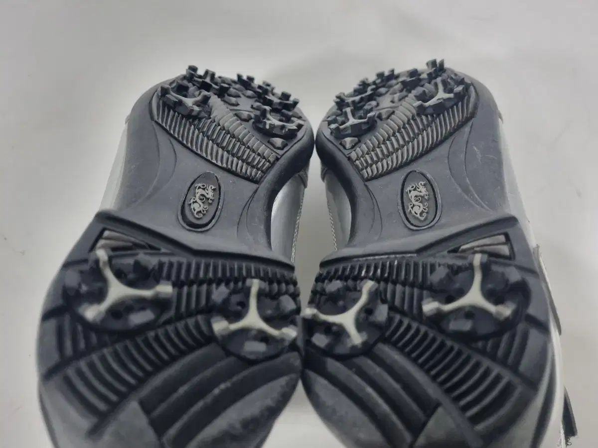 ダンスウィズドラゴン レディース ゴルフシューズ 23.5cm 未使用品