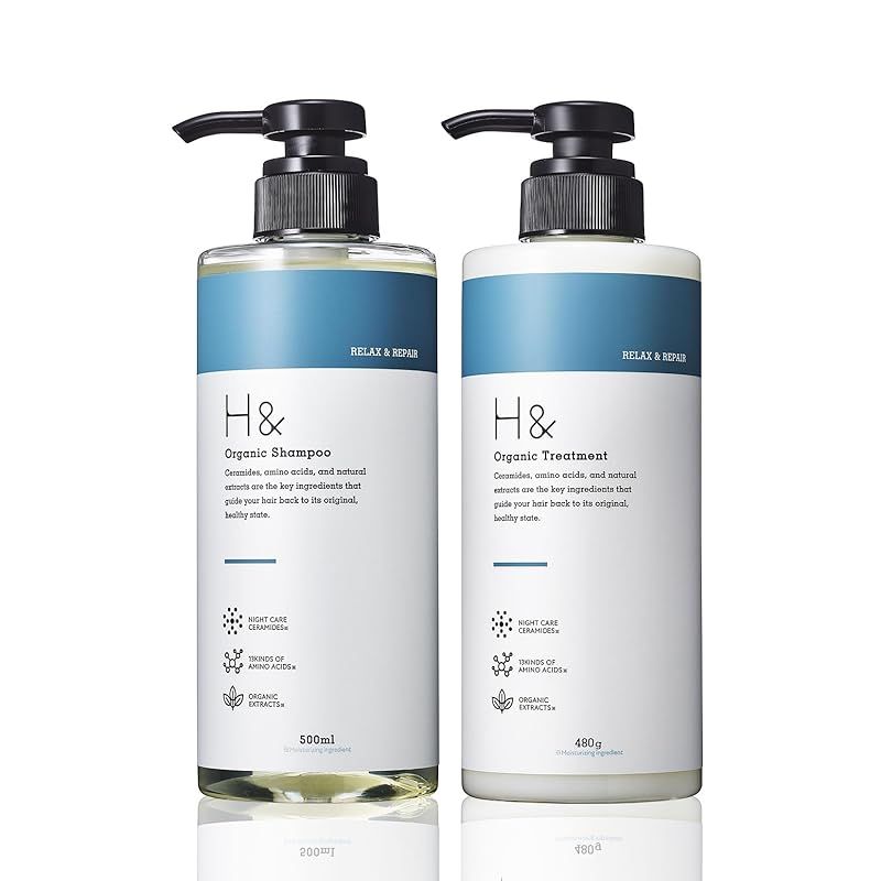 Double H シャンプー・トリートメント セット H&アッシュアンド シャンプー トリートメント 美容室専売品 アミノ酸
