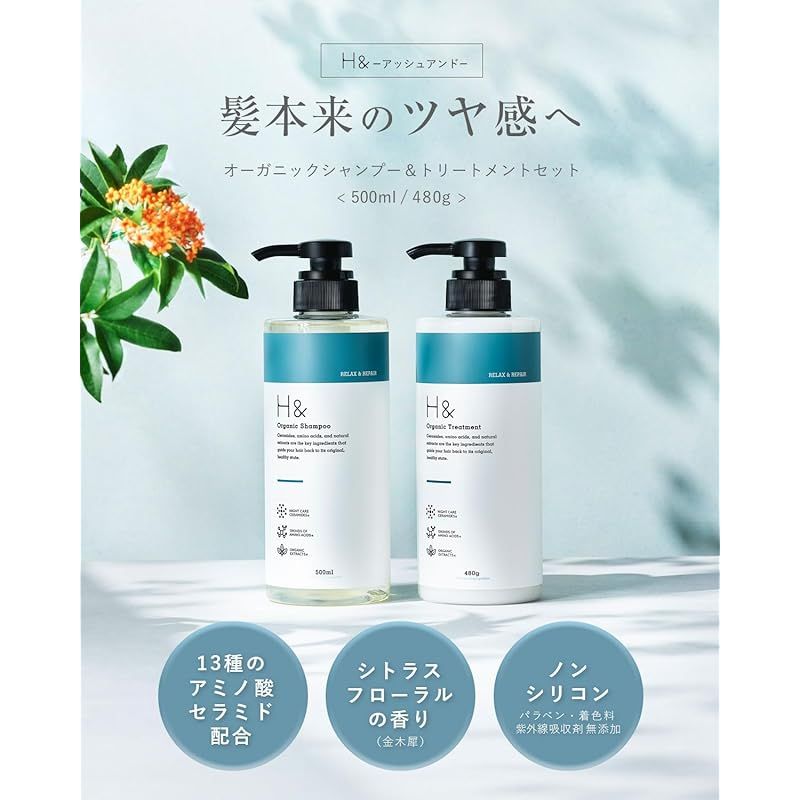 H&アッシュアンド シャンプー トリートメント 美容室専売品 アミノ酸