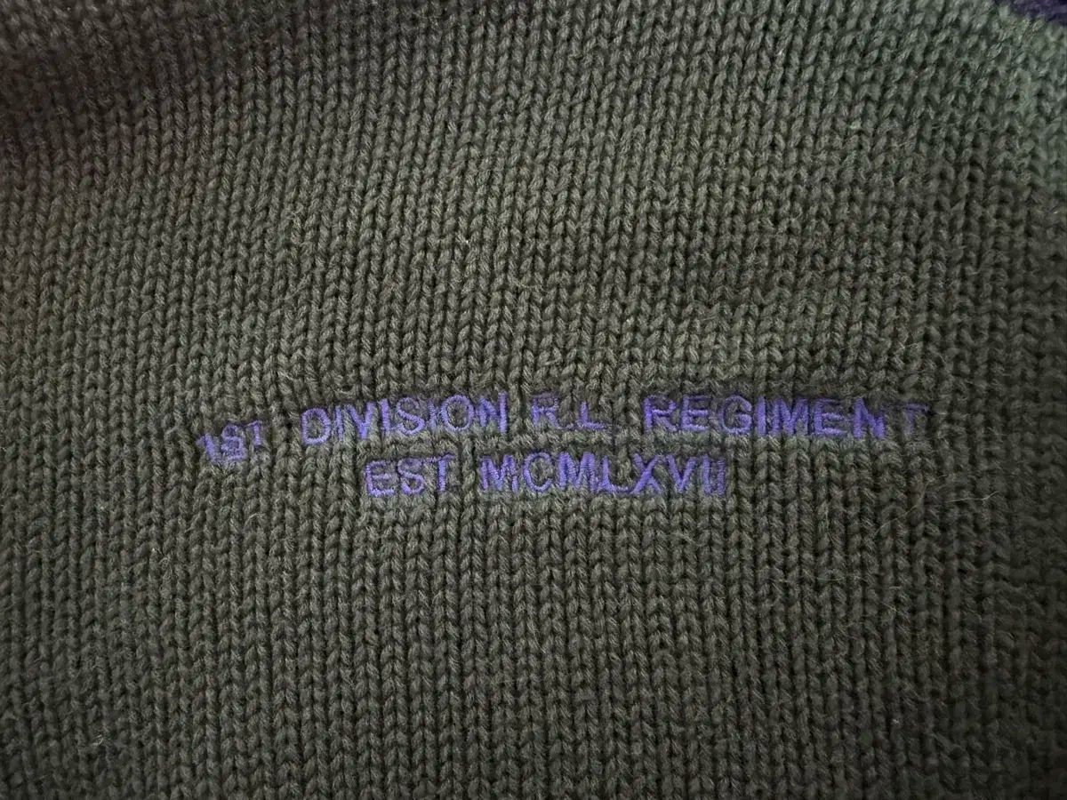 ポロ ラルフローレン ビックポニー 緑 ジャージ