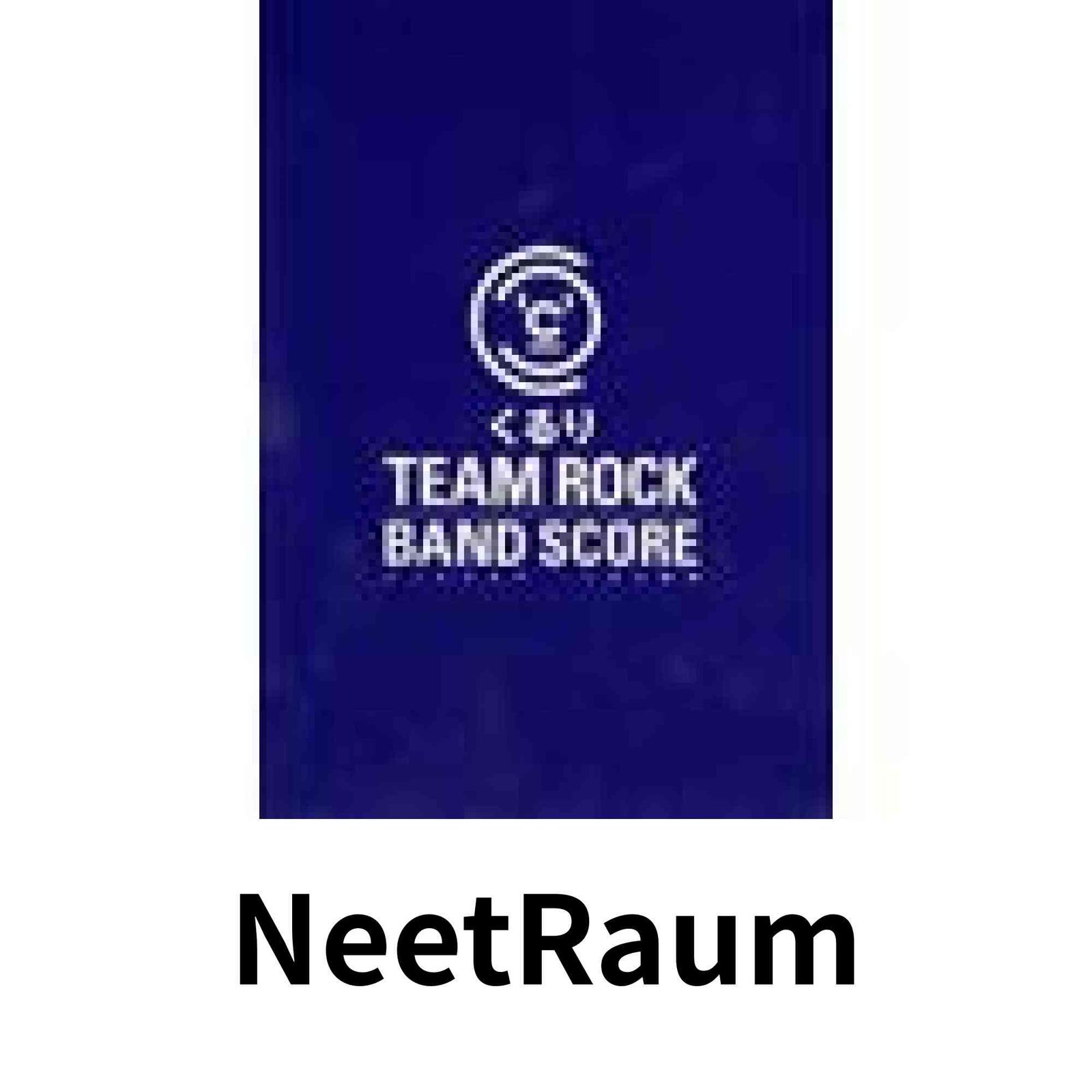くるり TEAM ROCK くるり team rock レコード オリジナル盤 くるり
