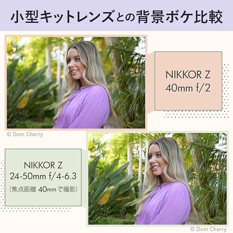 単焦点レンズ NIKKOR