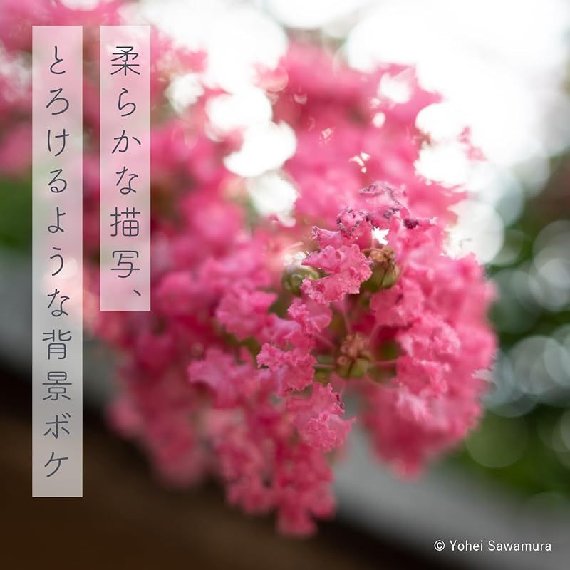 フルサイズ対応 ブラック