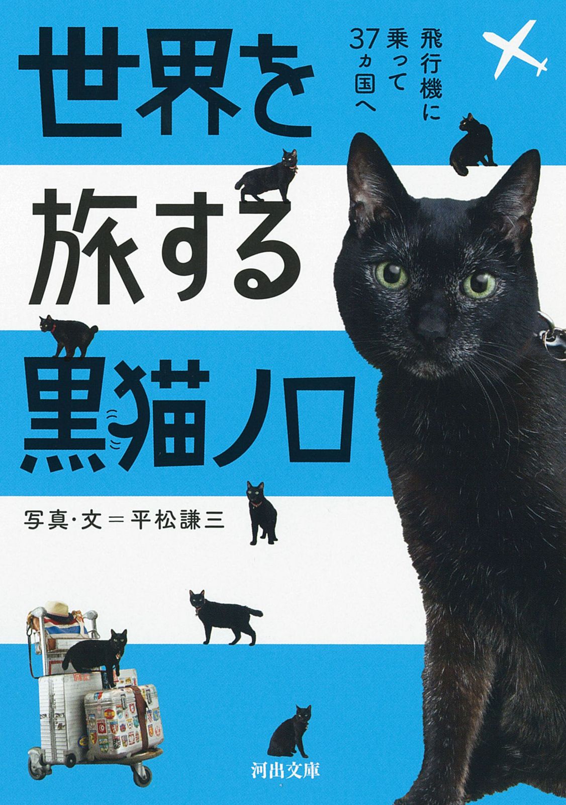 黒猫。 断捨離中出品 世界を旅する黒猫ノロ 飛行機に乗って37カ国へ/河出書房新社/平松