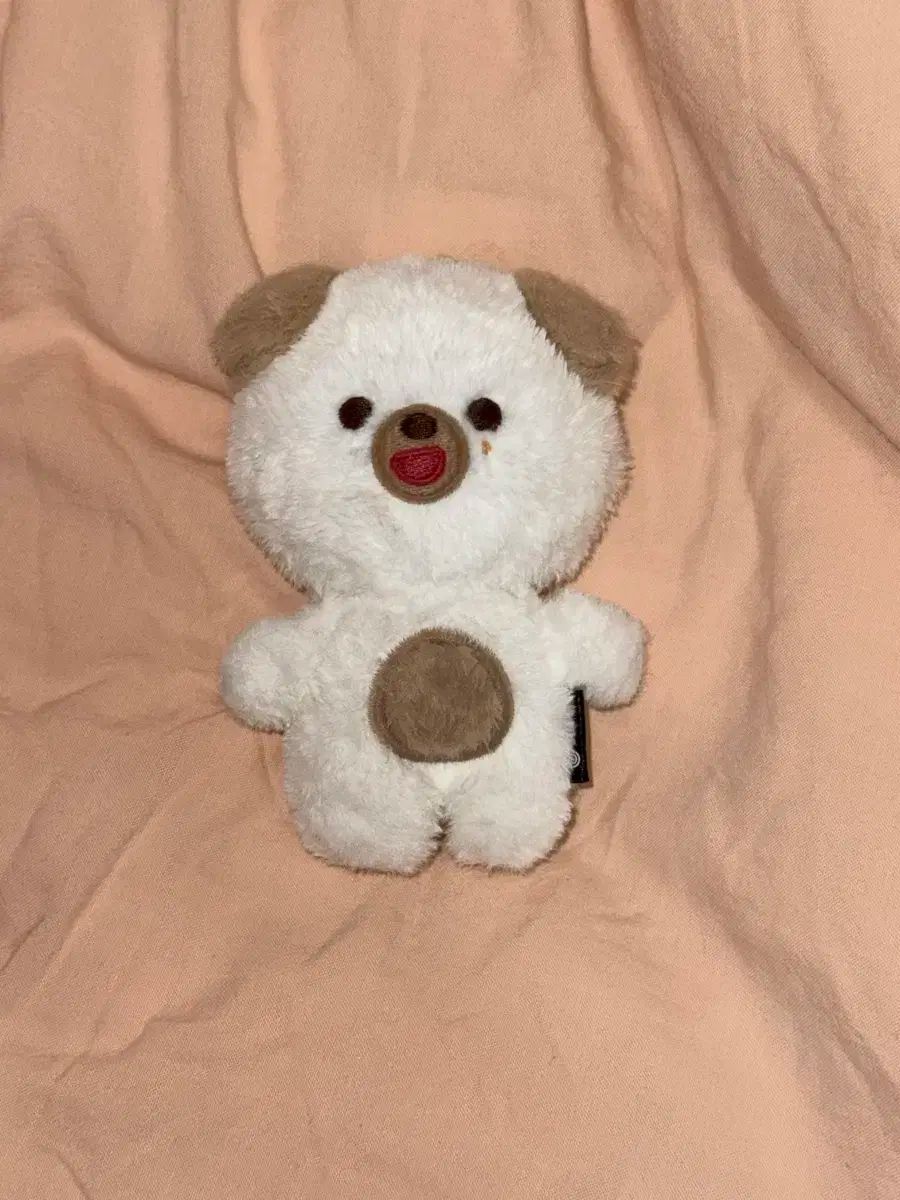 DAY6（デイシックス）プチマル プチマルズ ドウン (DOWOON) 10cm