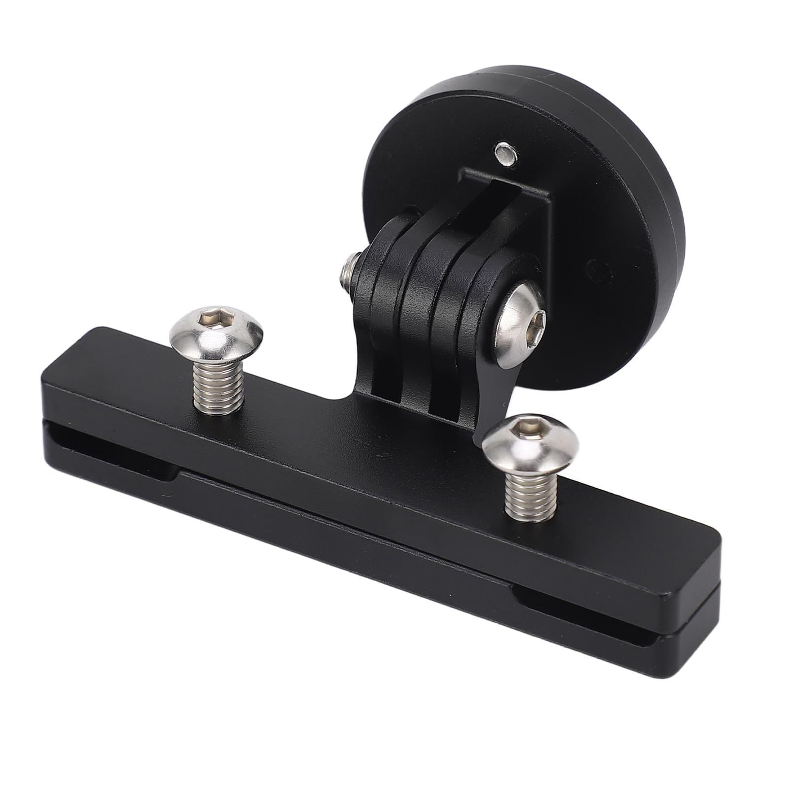 レオン・グリフ、フランス学士院、希少画集画、新品額装付