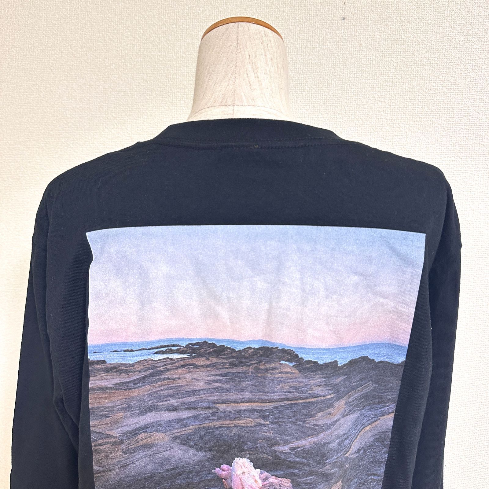 カネコアヤノ 日本武道館ワンマンショー 2021 岩場ロンT フォトTシャツ 