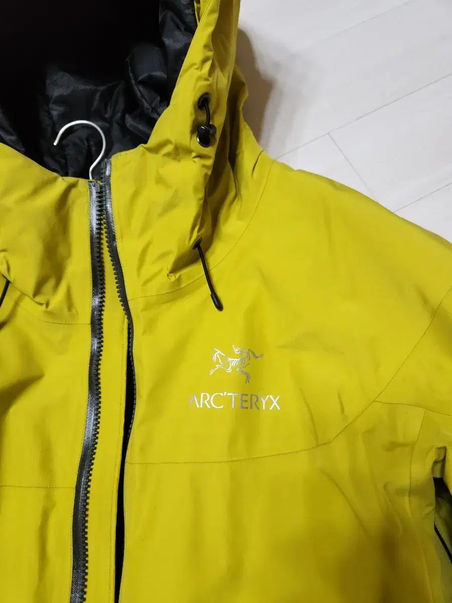 ARC TERYX アークテリクス フィション SLダウンジャケット