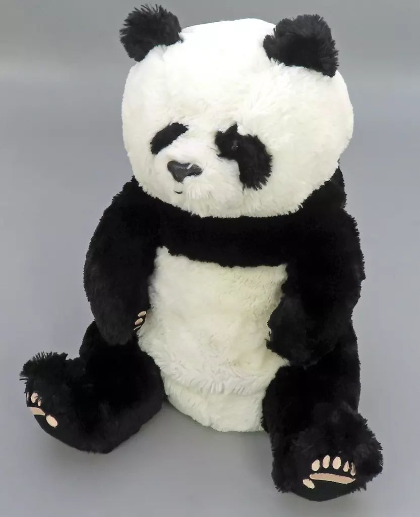 中古】ぬいぐるみ パンダ 40cm ぬいぐるみ アドベンチャーワールド限定