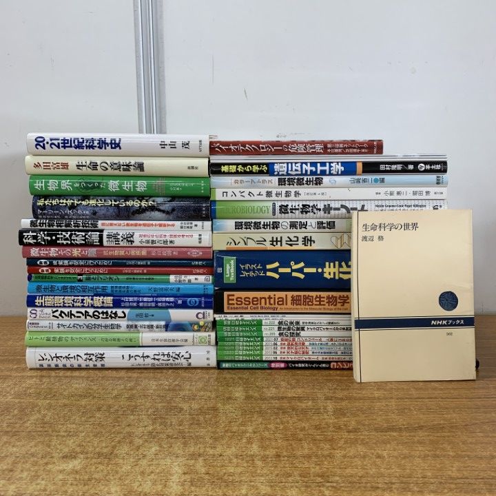 Franklin Mintスカイ・チーフ（サンダーの戦士）ブロンズ像