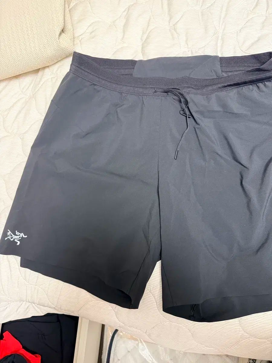 ARC TERYX アークテリクス ノバン ショートパンツ - 7インチ 5インチ Large