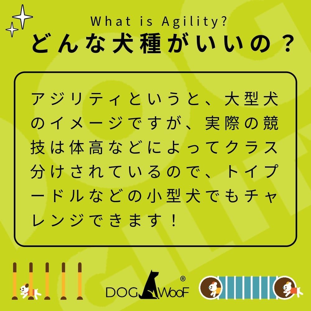 アジリティー 犬 ロングジャンプ アジリティ アルミ製 ポジショニングポール付き トレーニング