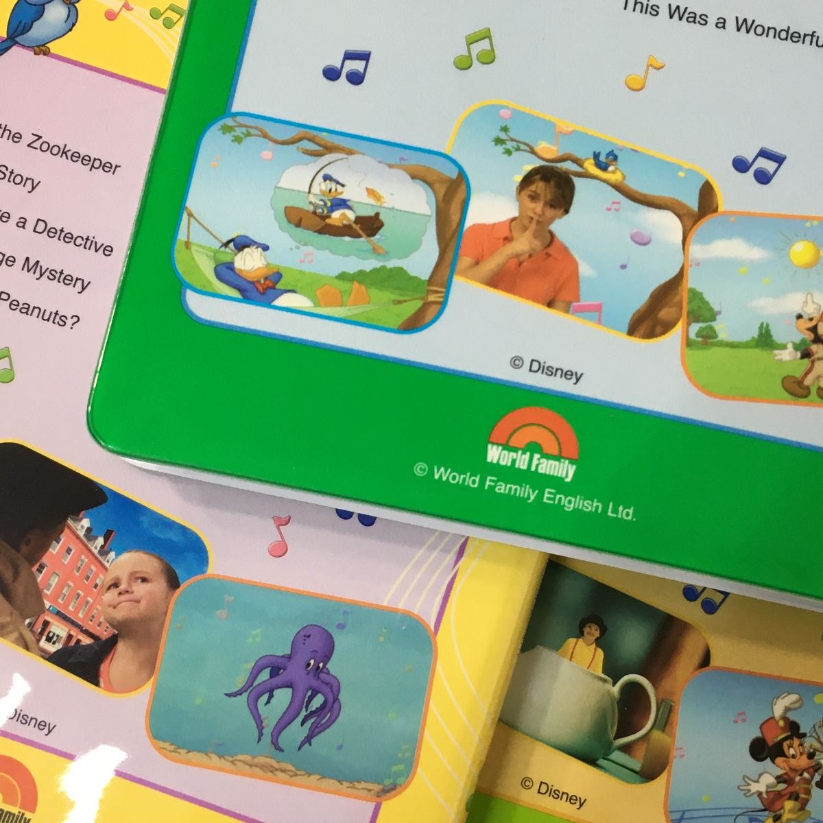 DWE シングアロング DVD版 2015-2016年頃 ディズニーワールド