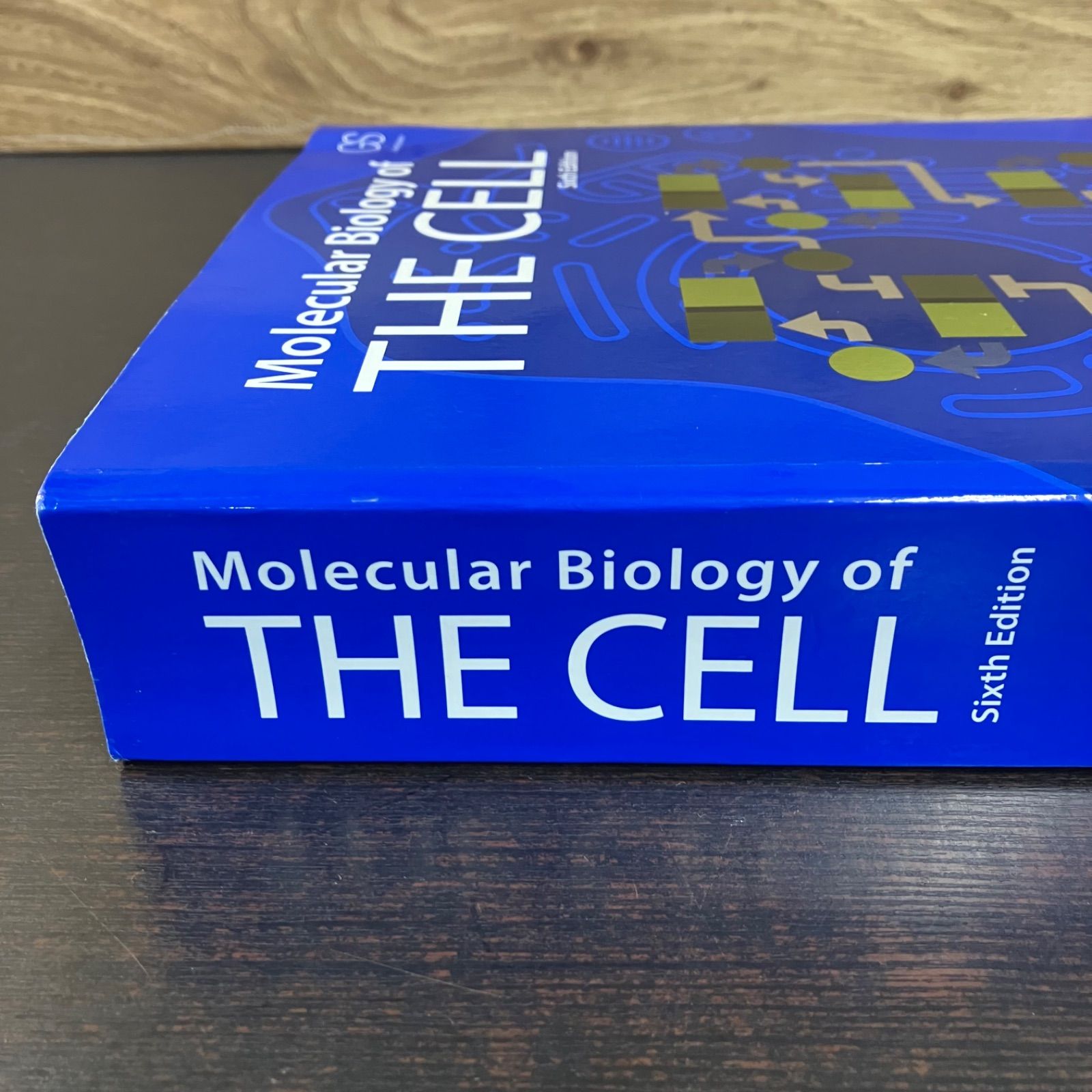 細胞の分子生物学 第6版 細胞の分子生物学 第6版 | CELL |本 ALBERTS