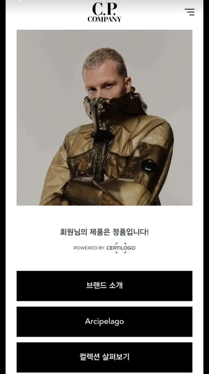 シーピーカンパニー C.P. COMPANY ニット スウェット M ストーン