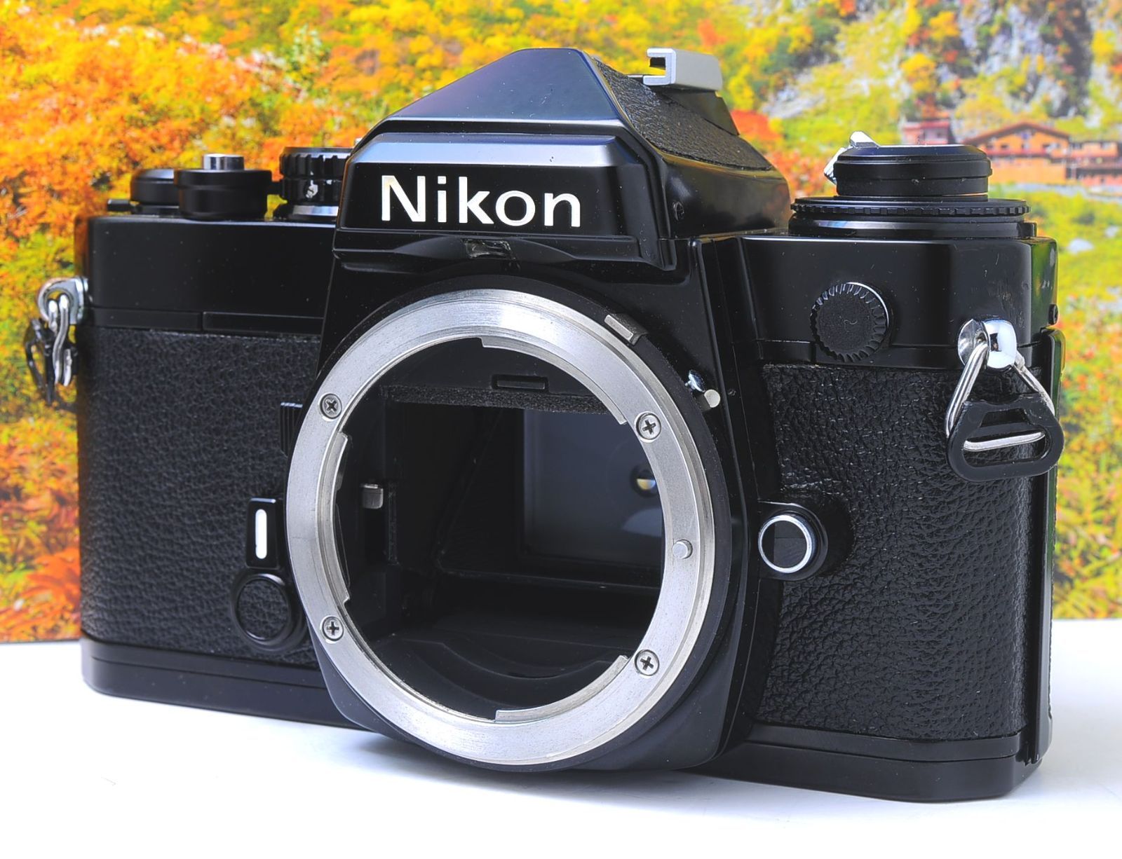 Nikon FE ブラック｜動作品｜シャッター良好・露出計作動｜外観スレ