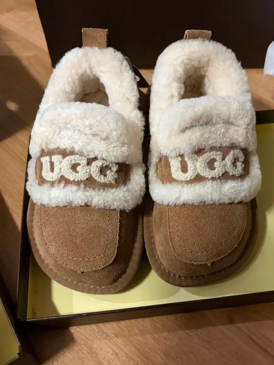 オーストラリア製 アグ オッズウェア キッズ バイオレット ローファー 165