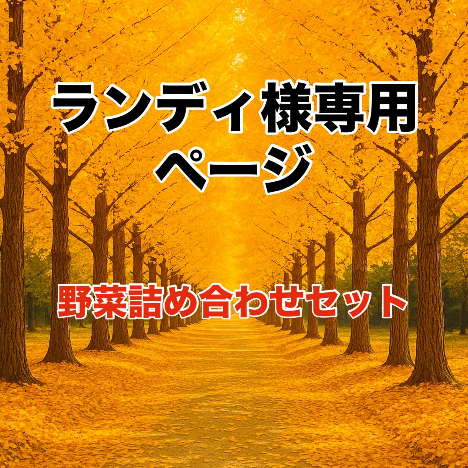 DimMoire 汎用うさぎパーカー Black&Gray