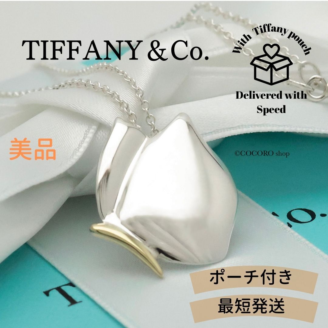 美品】ティファニー TIFFANY&Co. 蝶 バタフライ ネックレス AG925