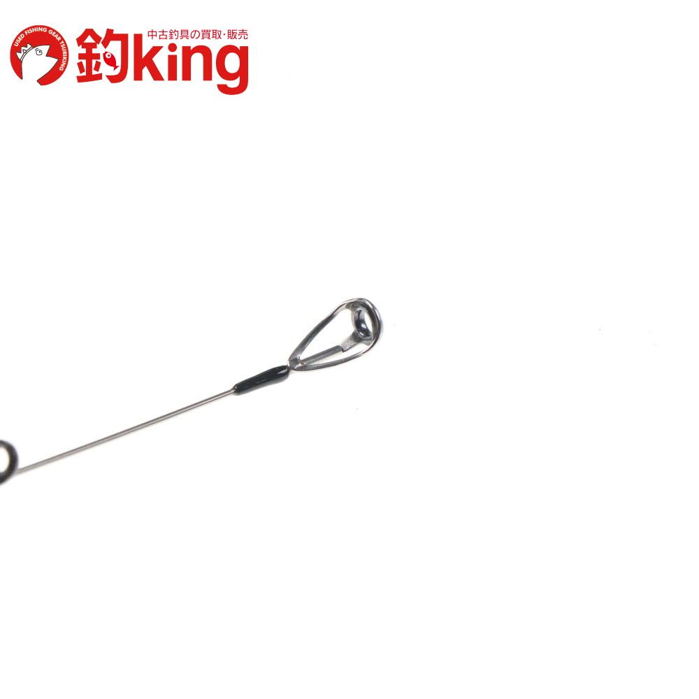 アオリイカ エギング