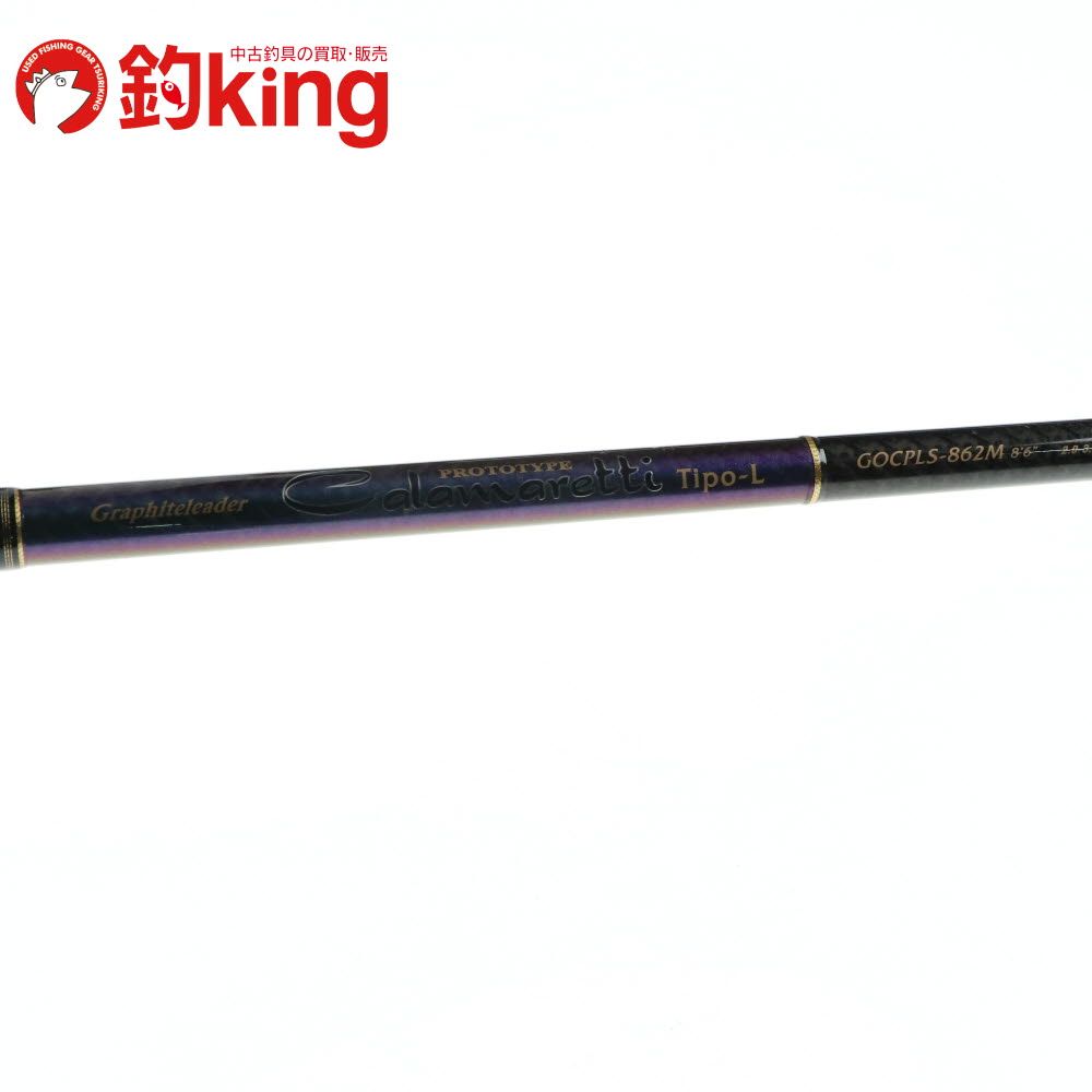 アオリイカ エギング