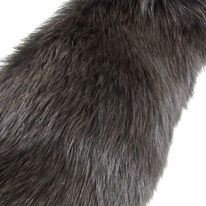 サガフォックス