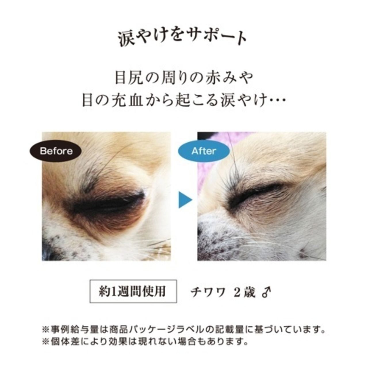 ALICIA アリシア SKIN LIKE A PRINCESS スキン ライク ア プリンセス