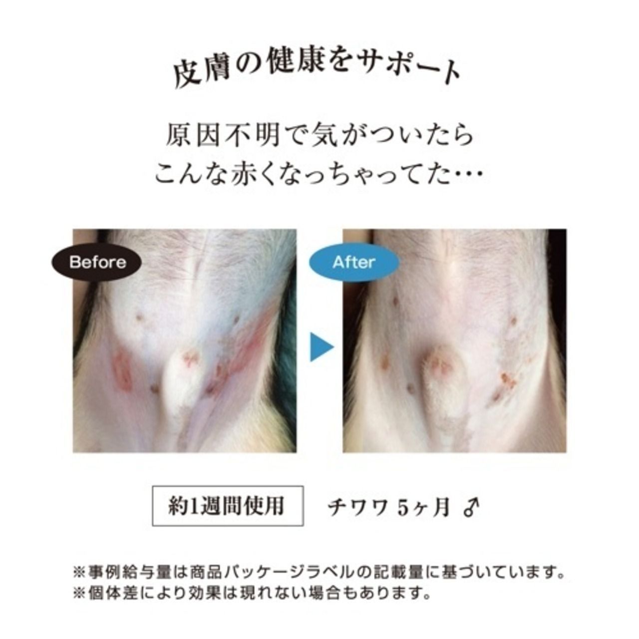 ALICIA アリシア SKIN LIKE A PRINCESS スキン ライク ア プリンセス