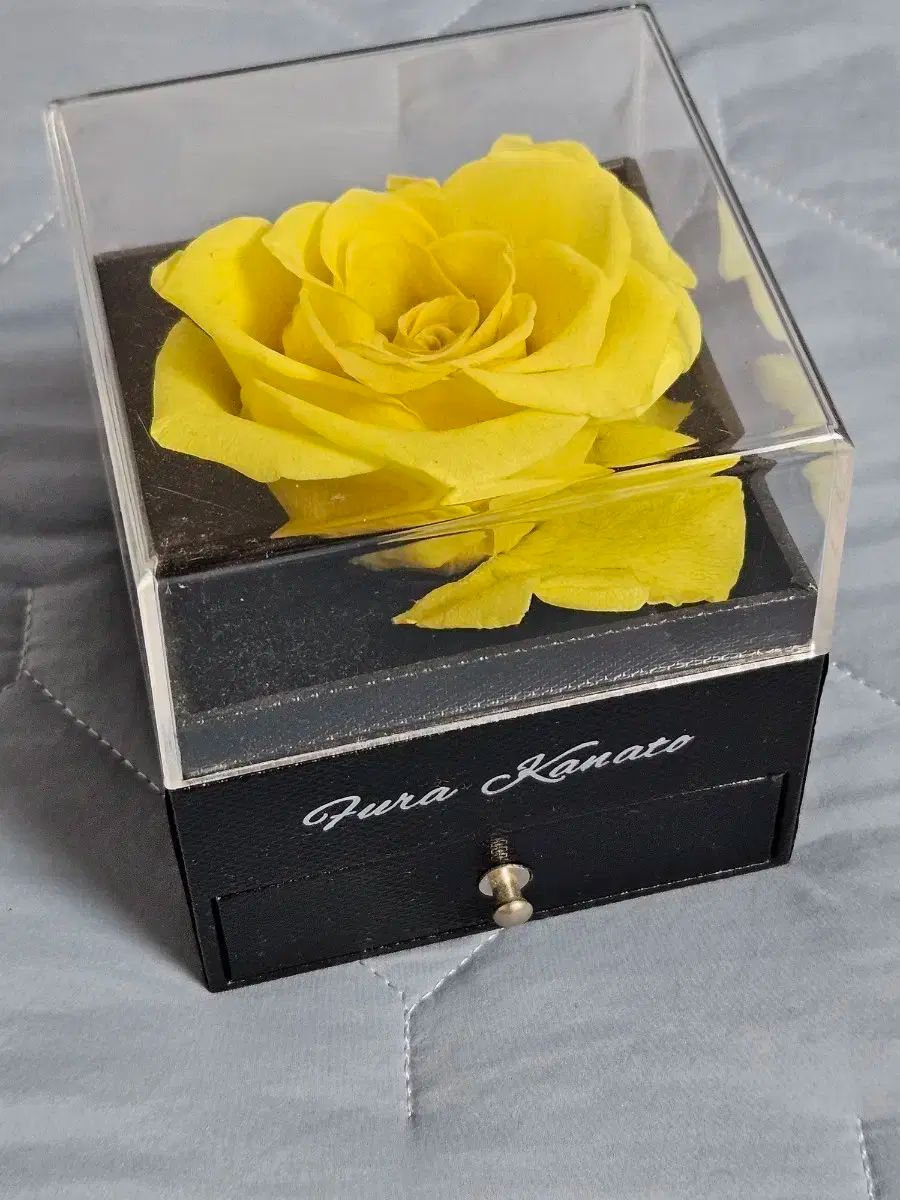 にじさんじ WHOラ かな토 ジュンブライドライヤリング ネックレス セット