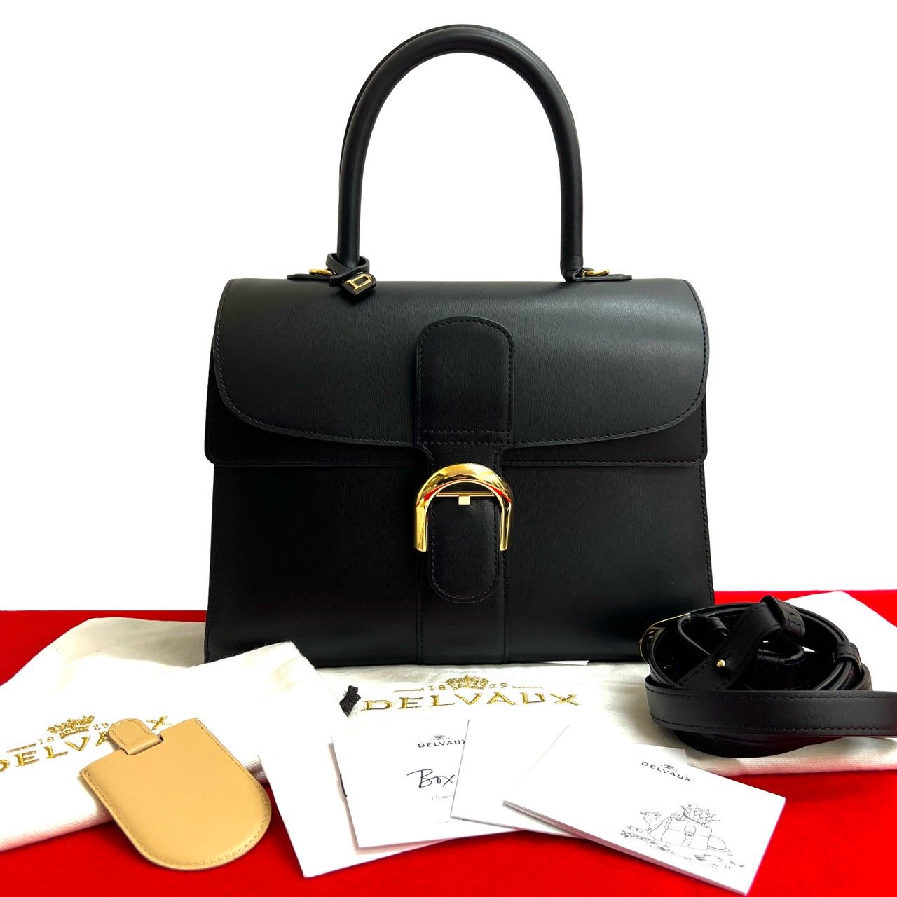 ほぼ未使用 袋付き DELVAUX デルヴォー ブリヨン レザー 本革 2way 