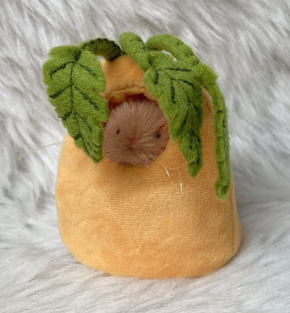 創作人形 三角ユウリ ねずみ 約9 cm