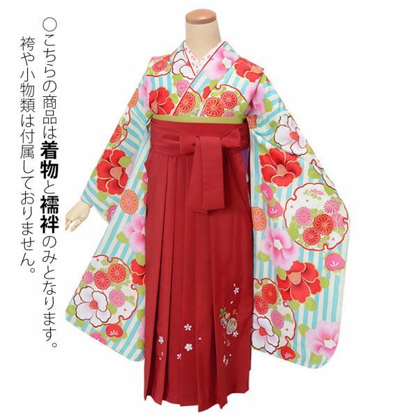 中古品ジュニア用 振袖単品「水色×クリーム色 二尺袖 椿菊雪輪