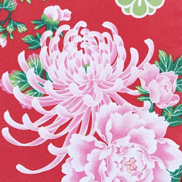 ジュニア用 振袖単品「赤　菊牡丹」仕立て上がり 襦袢プレゼント 小振袖 着物 子ども 子供 キッズ ジュニア 女の子 卒業式 小学校 小学生 中学校 中学生 十三参り 十三詣り 1/2成人式 ハーフ