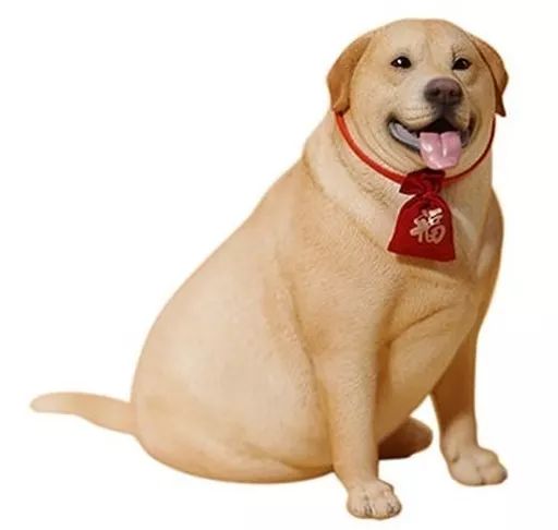 dayuanbaoぽっちゃりボディサイズ木製下駄 小花黄色 dayuanbaoぽっちゃりボディサイズ木製下駄 小花黄色 専用dayuanbao