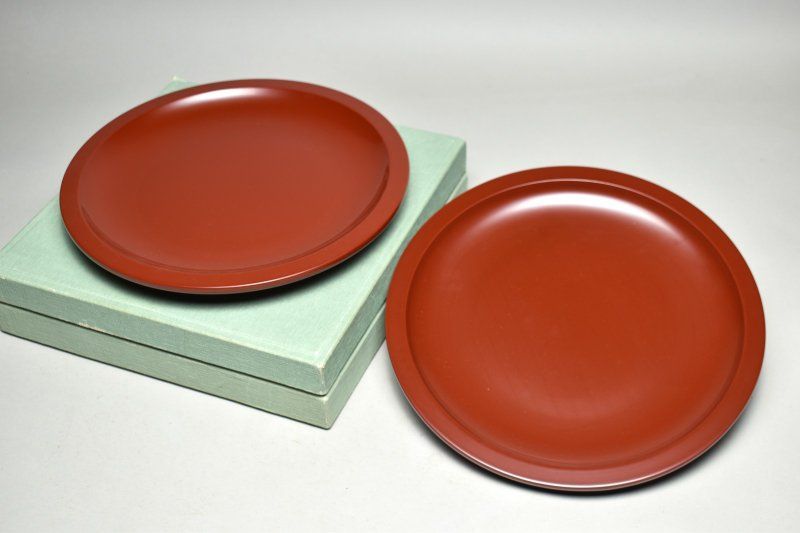 ダイワ アルビレオ 鮎竿 早瀬抜95ソフトケース付き