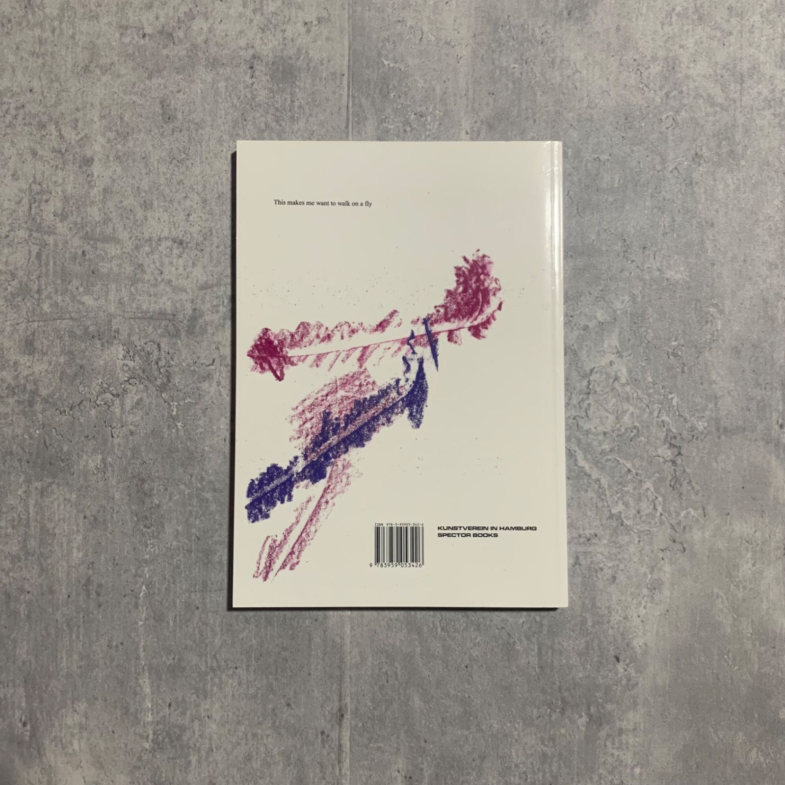 Cana Bilir-Meier DÜŞLER ÜLKESİ アートブック｜Kunstverein in Hamburg × Spector Books｜ 作品集