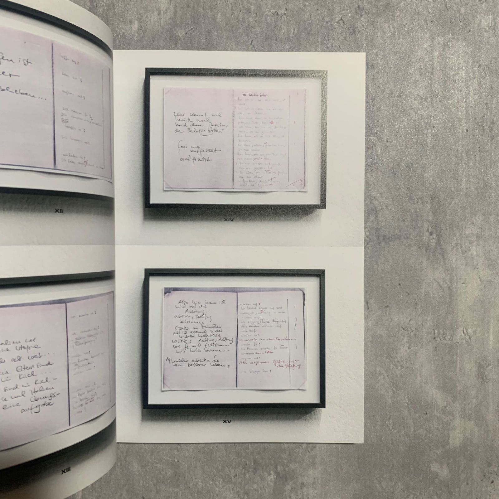 カナ・ビリル・マイヤー エキシビジョンブック - メルカリ