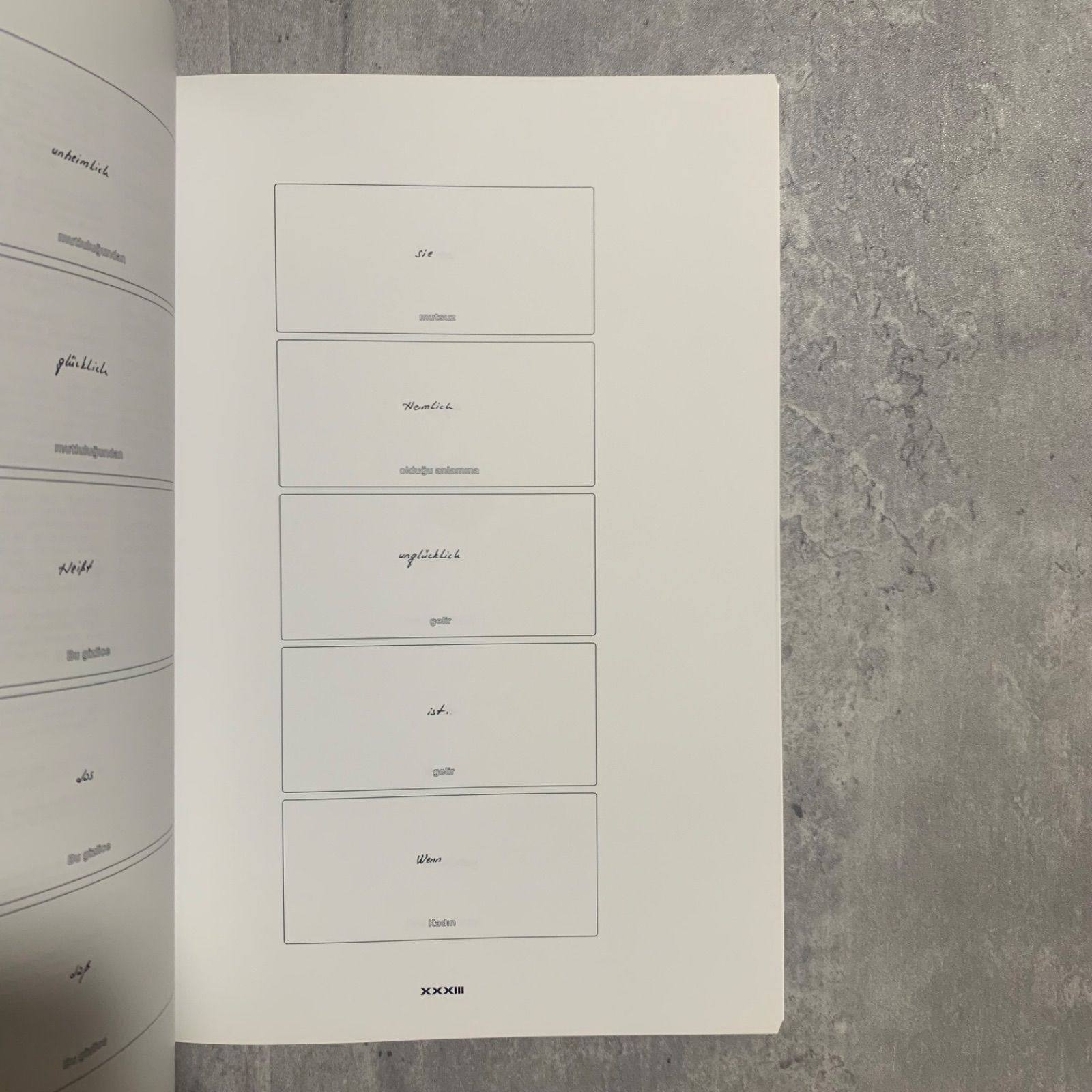 カナ・ビリル・マイヤー エキシビジョンブック - メルカリ