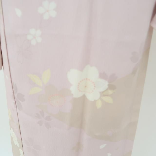 変化を魅せて花道を開く桜 長襦袢