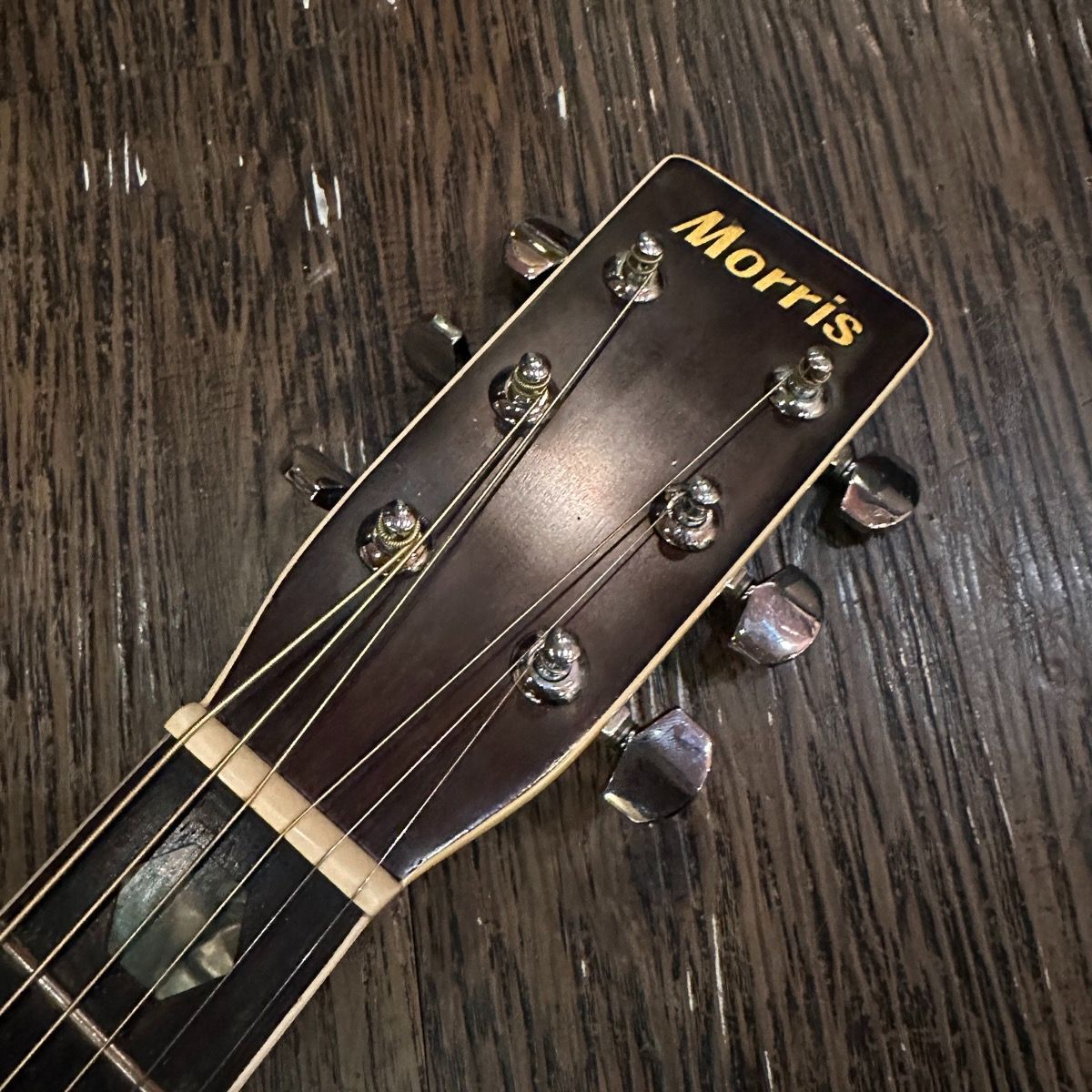 Morris W-40 Acoustic Guitar Made in Japan アコースティックギター