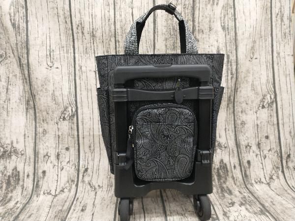 SWANY スワニー キャリーバッグ ユベーロIII TS 15 T 2キャスター 4輪ストッパー付 ブラック 576940